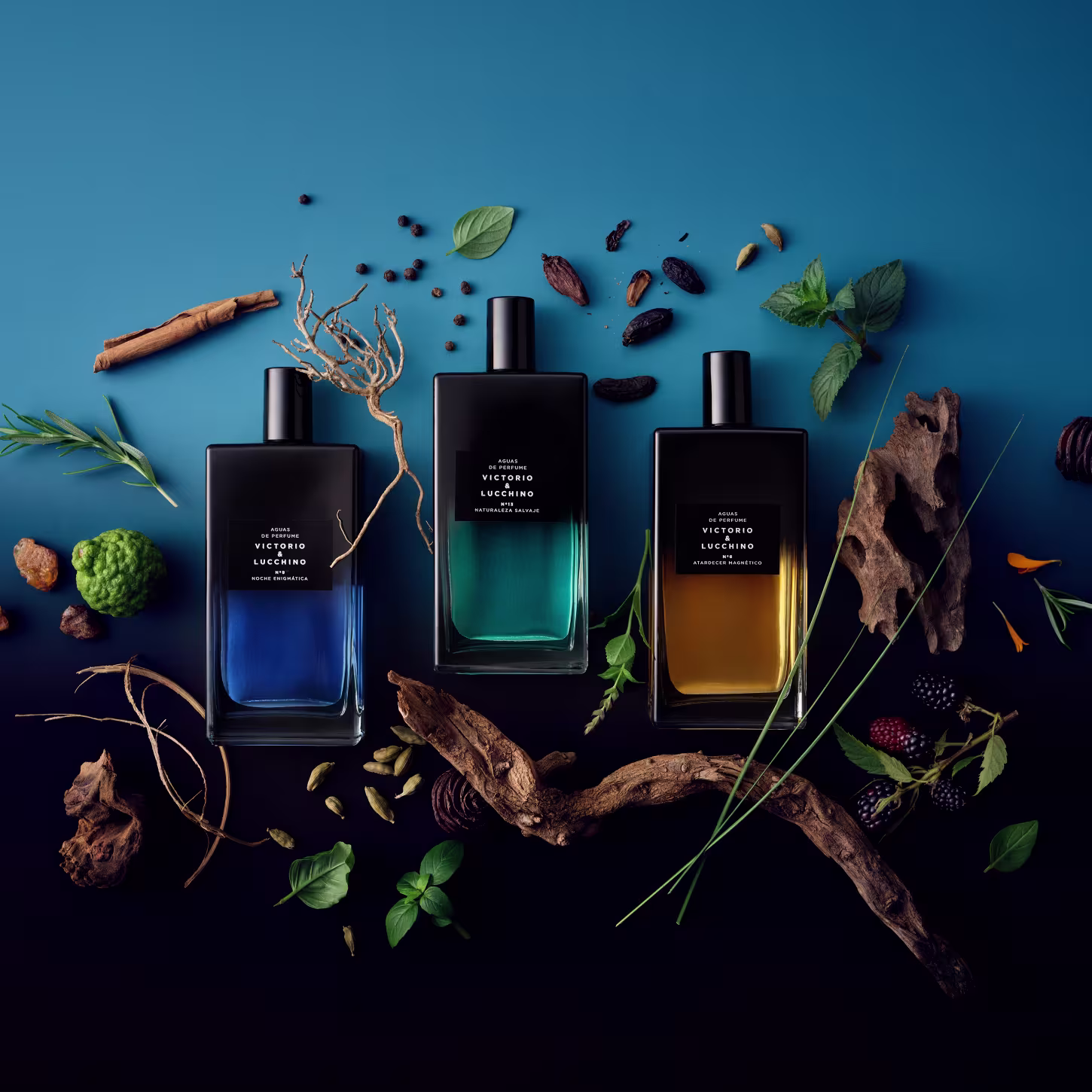 Perfume Importado Masculino Águas de Parfum Nº13 Naturaleza Salvaje Victorio & Lucchino EDP, 150ml.