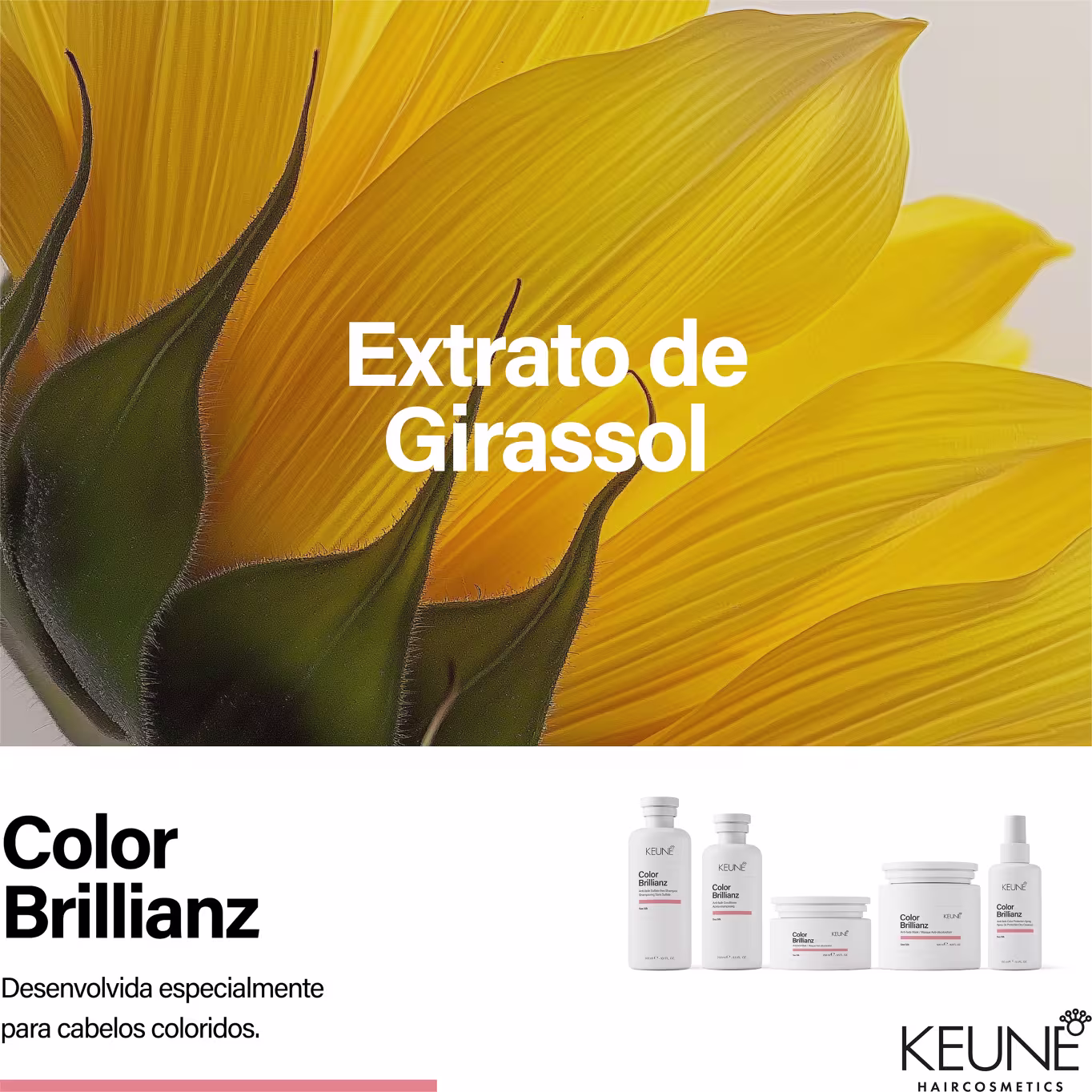 A imagem apresenta um fundo amarelo vibrante com pétalas de girassol, destacando o extrato de girassol como ingrediente principal do produto da marca Keune.