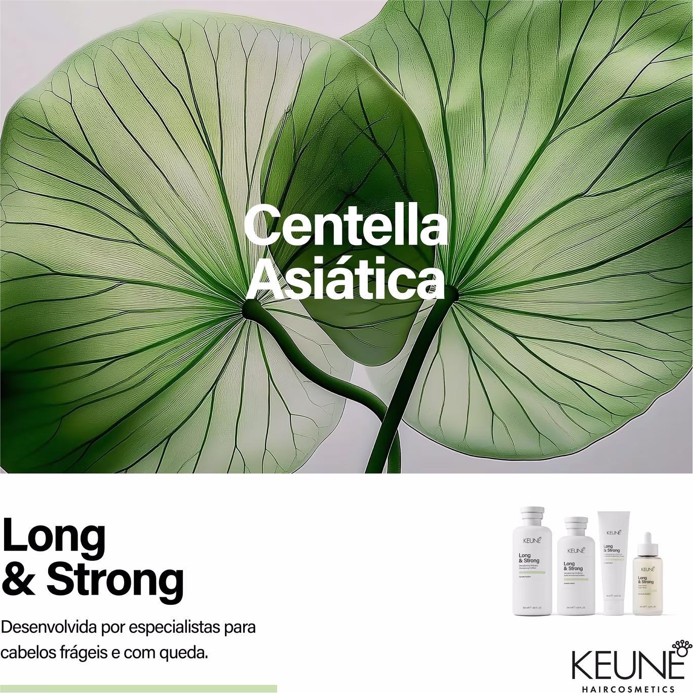 A imagem apresenta um fundo verde com folhas de Centella Asiática, uma planta medicinal, destacando a linha de produtos "Long & Strong" da marca Keune, voltada para cabelos frágeis e com queda.