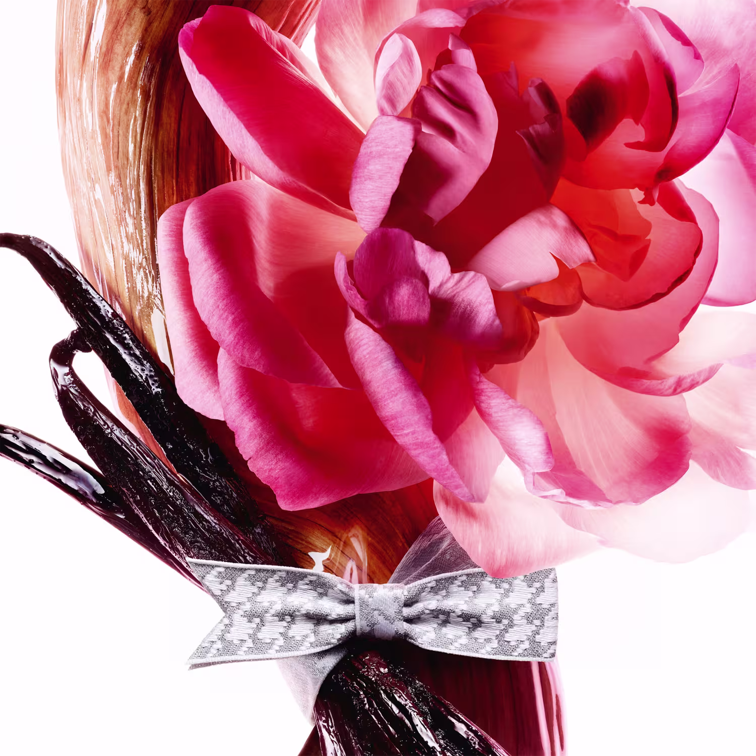Buquê rosas em primeiro plano, embalado com laço estampado da marca Dior.