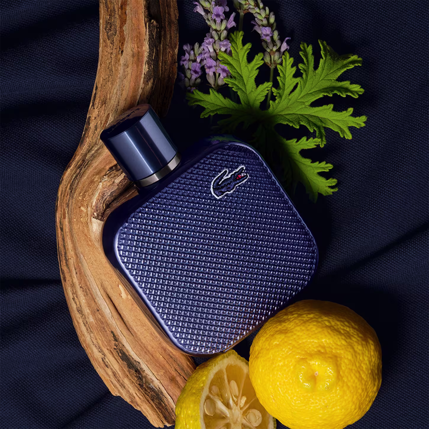 Frasco de perfume Lacoste de cor azul escuro, com textura de couro e logotipo da marca em destaque. Embalagem elegante e minimalista, com tampa preta.