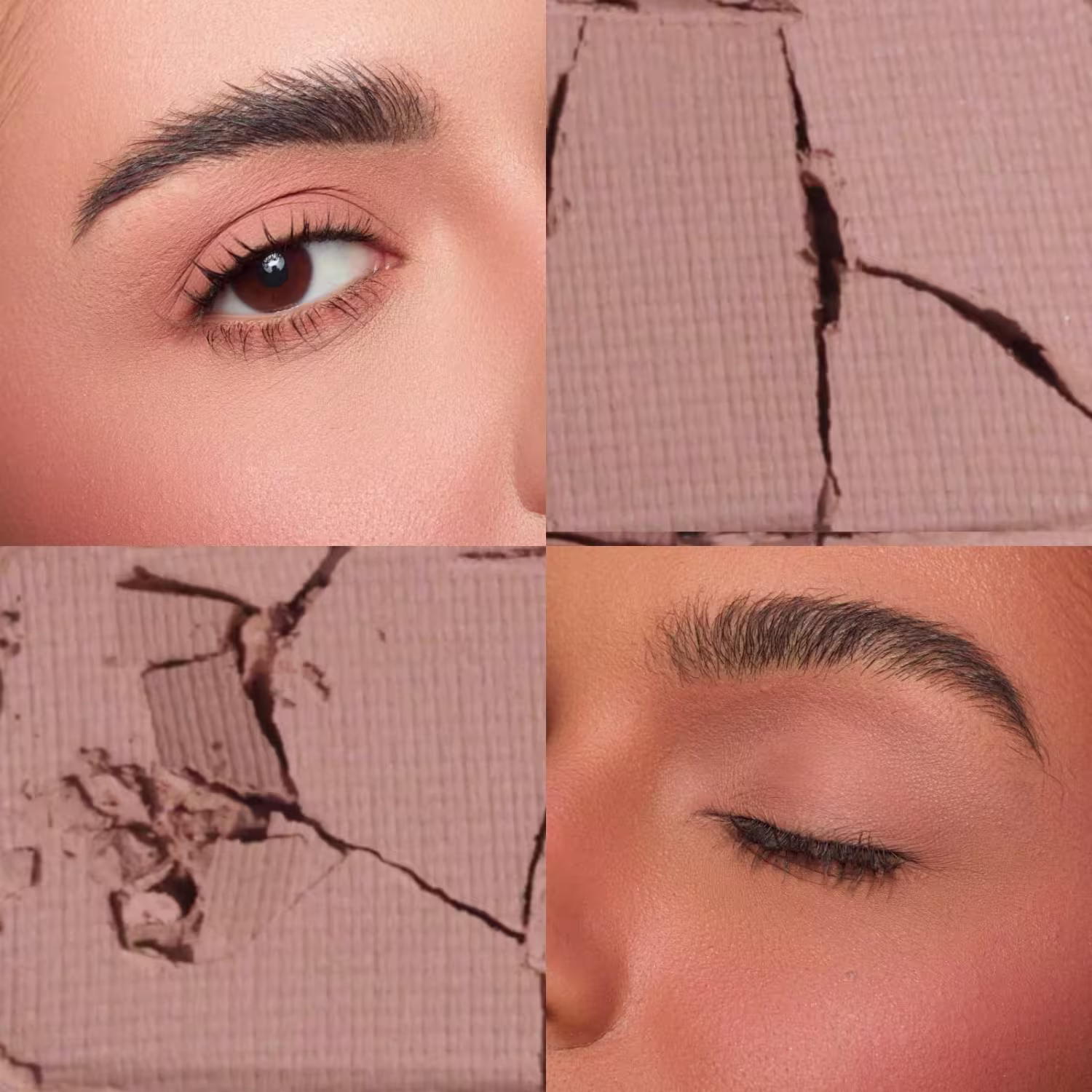 Paleta de Sombras Fand Cosméticos Básica, 6g.