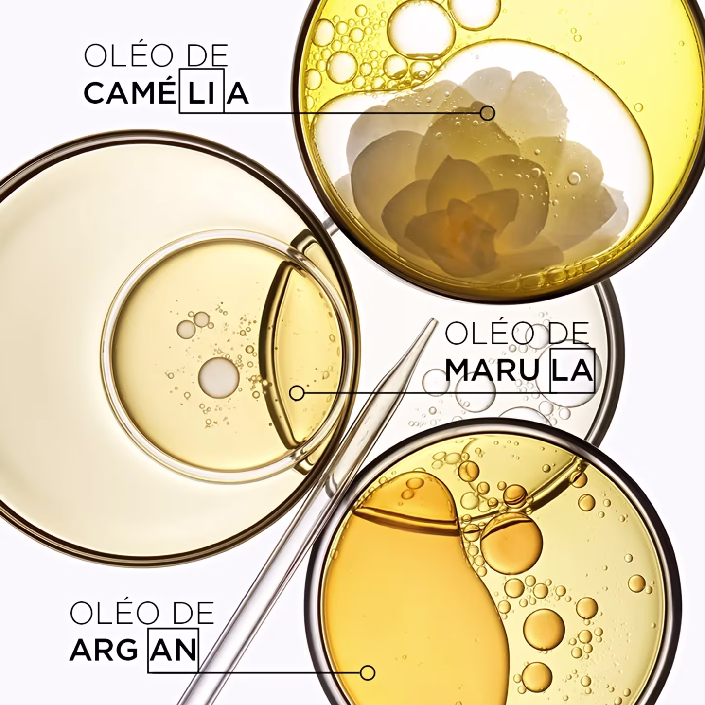 A imagem mostra os ingredientes, indicados como óleo de camélia, óleo de marula e óleo de argan.