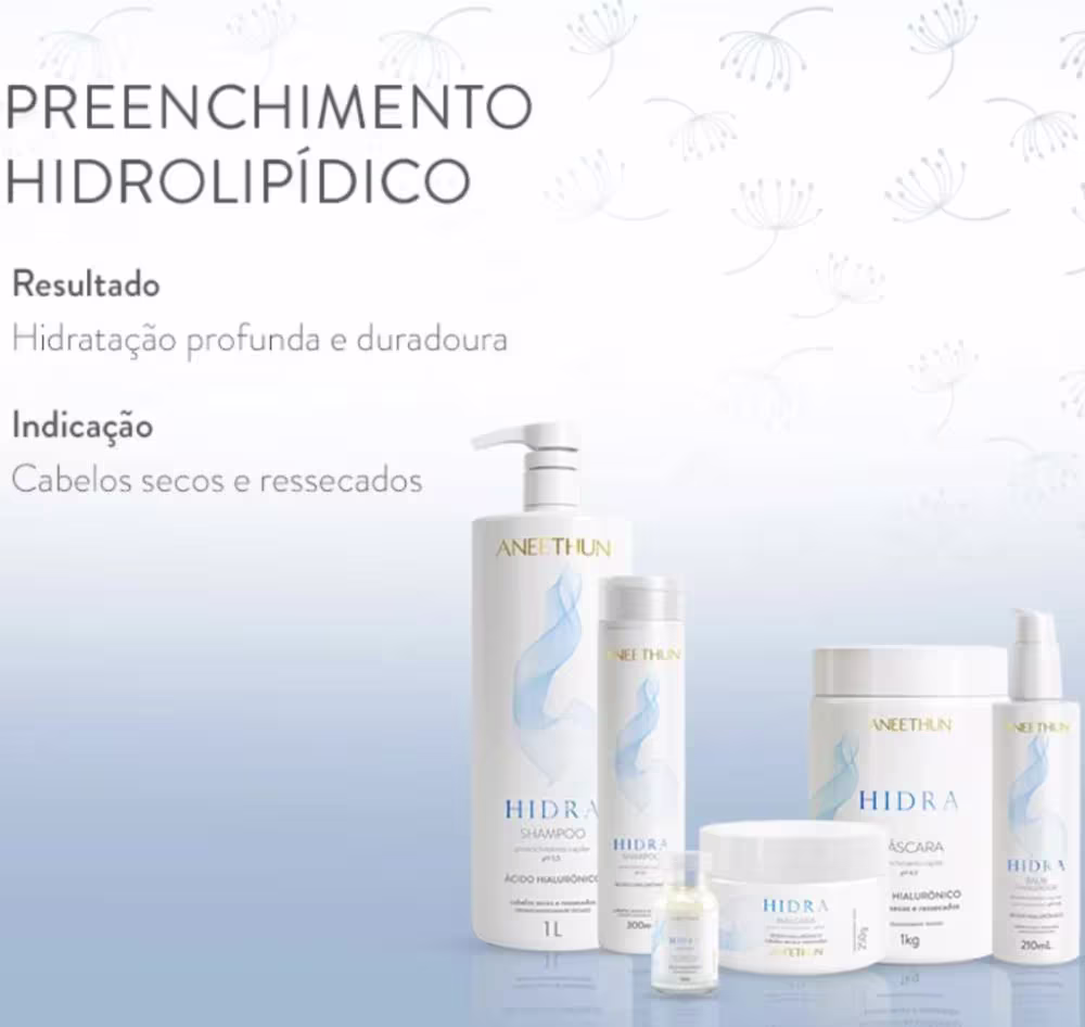 A imagem apresenta uma variedade de produtos de beleza da marca Aneethun, linha Hidra.