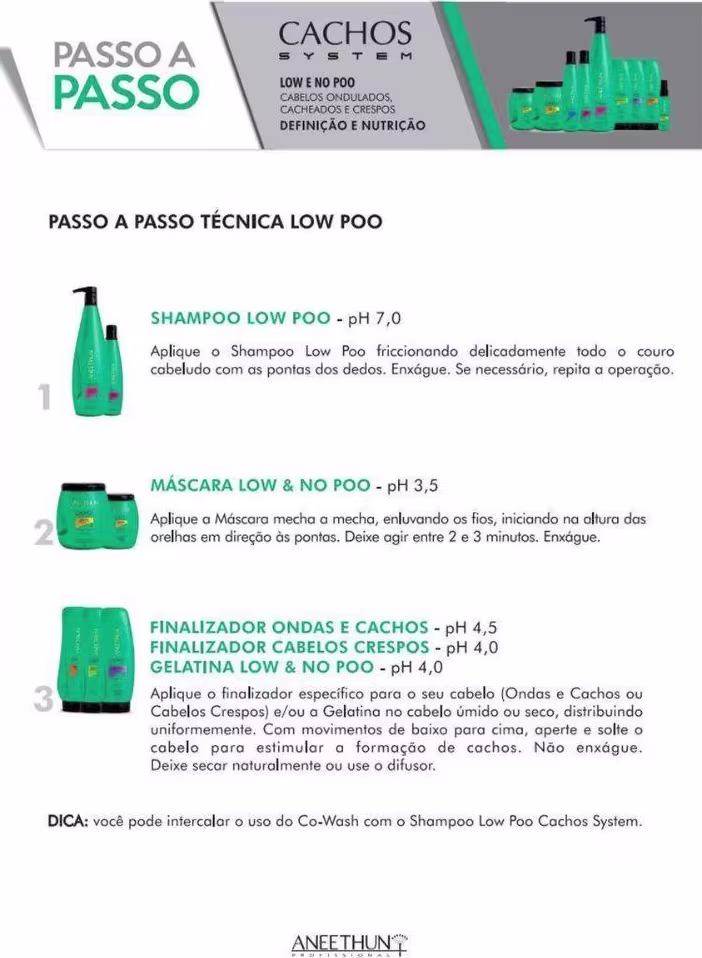 A imagem apresenta uma série de produtos da linha Cachos System da marca Aneethun.