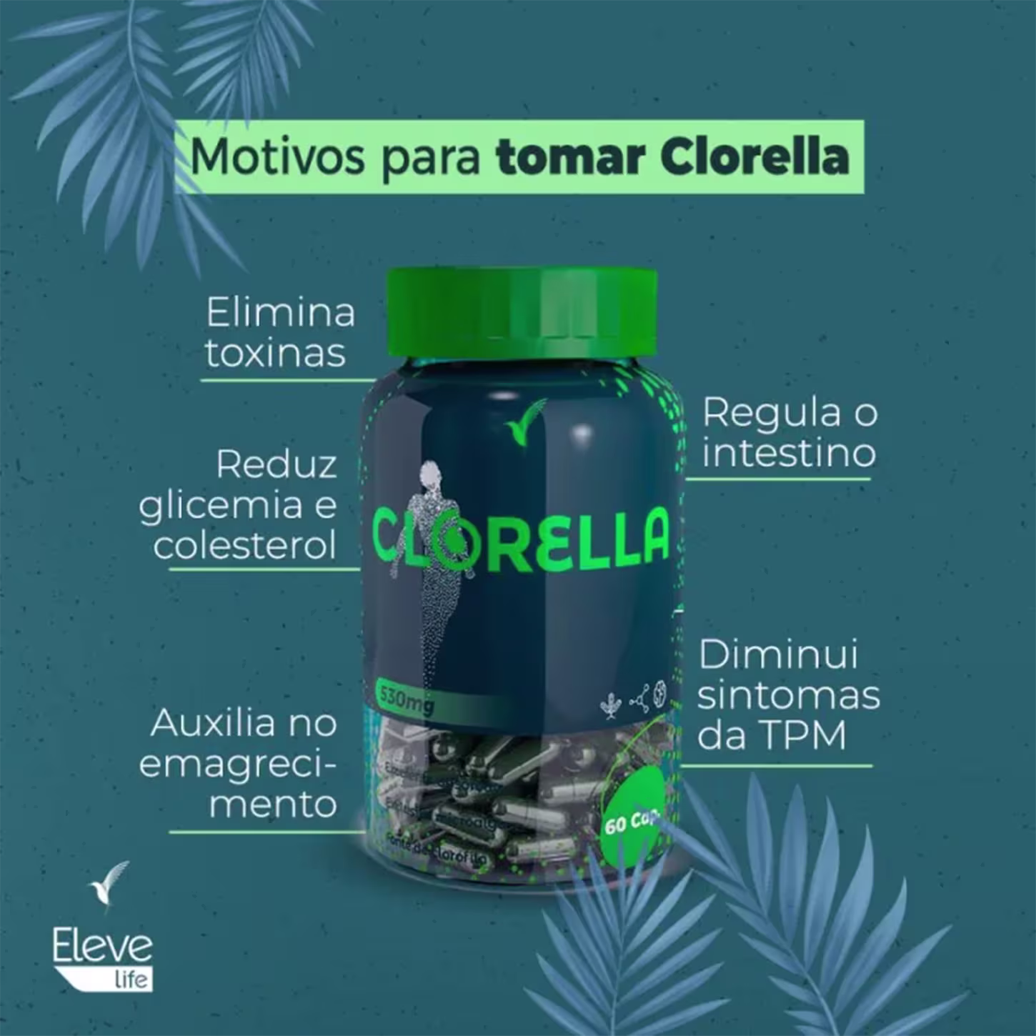 Motivos para tomar Clorella: elimina toxinas, reduz glicemia e colesterol, regula o intestino, diminui sintomas da TPM, auxilia no emagrecimento.