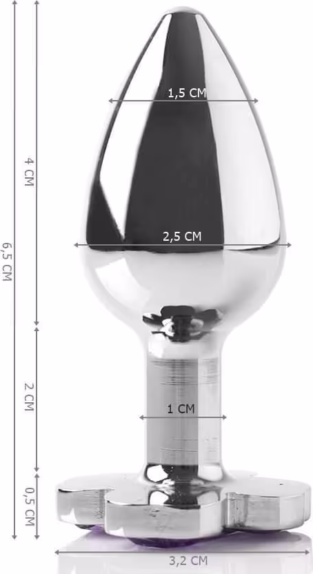 Plug Anal Metal Luck Cromado com dimensões de 6,5 cm x 2,5 cm