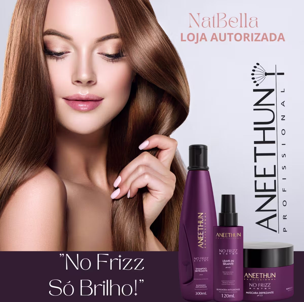 Kit Aneethun No Frizz System.