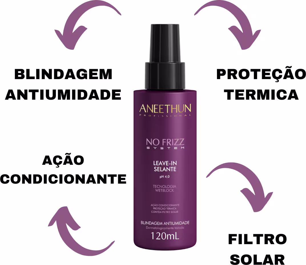 O produto apresentado é um leave-in selante da linha No Frizz System da marca Aneethun Professional. O texto no rótulo também menciona um pH de 4.0. O produto é apresentado em um frasco de 120ml.