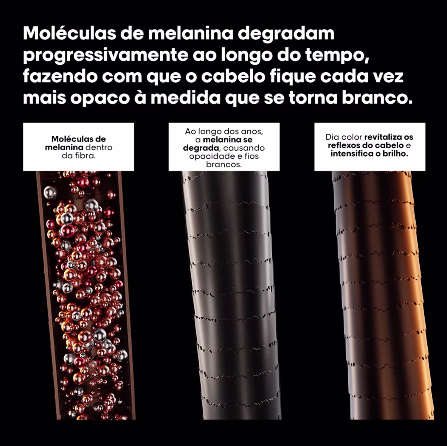 A imagem é composta por três seções verticais, mostrando uma representação microscópica de moléculas de melanina dentro da fibra capilar.
