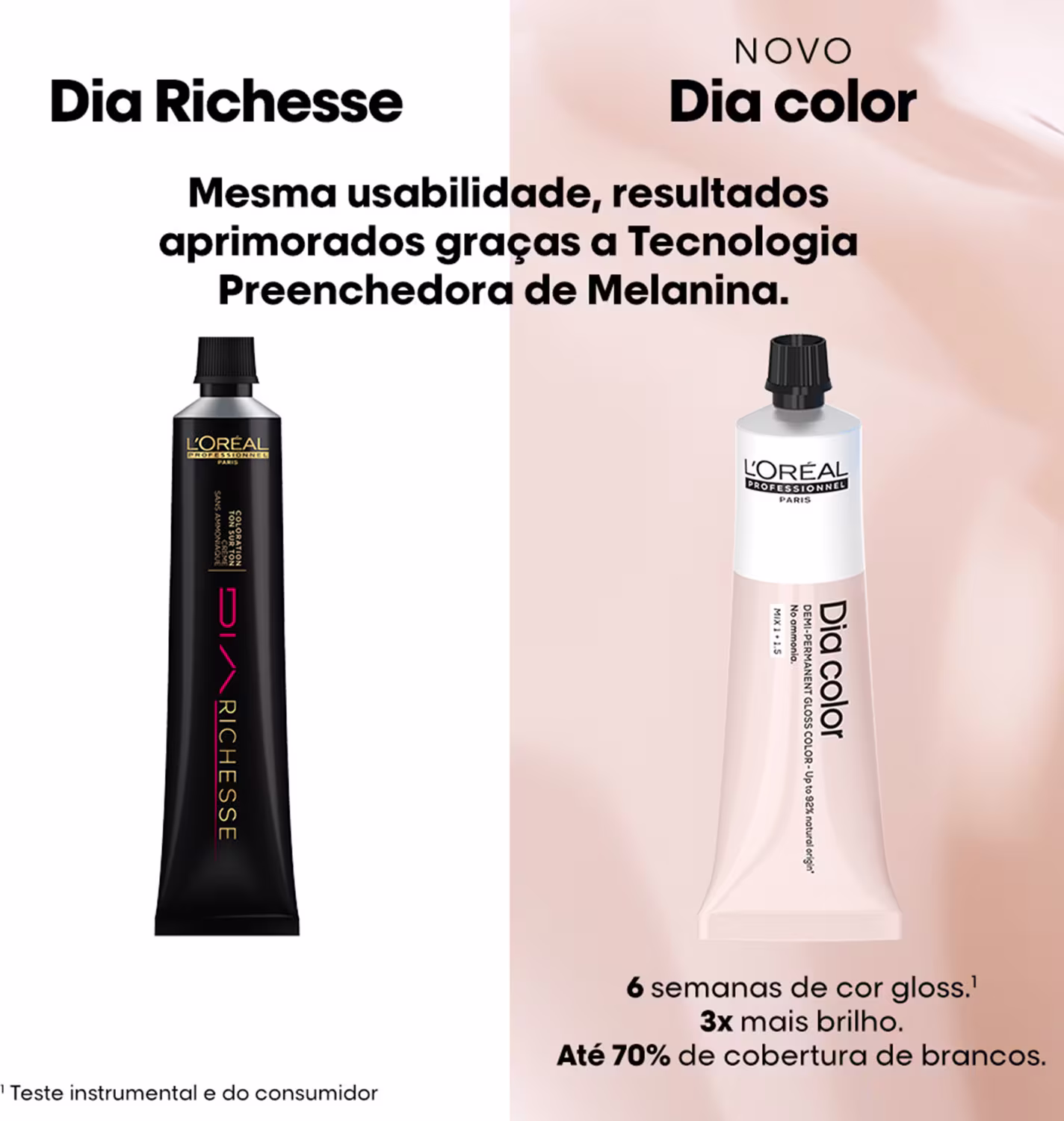 À esquerda, um tubo preto com o nome "Dia Richesse" e a descrição "Mesma usabilidade, resultados aprimorados graças a Tecnologia Preenchedora de Melanina".
À direita, um tubo branco com o nome "Novo Dia color" e "6 semanas de cor gloss"