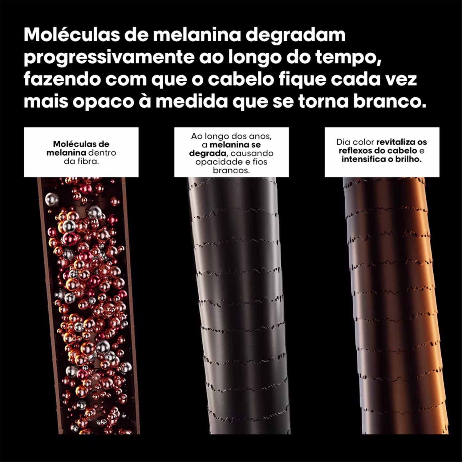 A imagem é composta por três seções verticais, mostrando uma representação microscópica de moléculas de melanina dentro da fibra capilar.