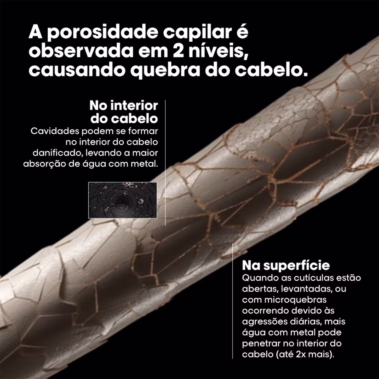 A imagem mostra uma fibra capilar quebradiça, com informações técnicas sobre a porosidade capilar, que causa danos e quebra nos fios de cabelo. O texto explica que podem surgir problemas no interior e na superfície dos cabelos.
