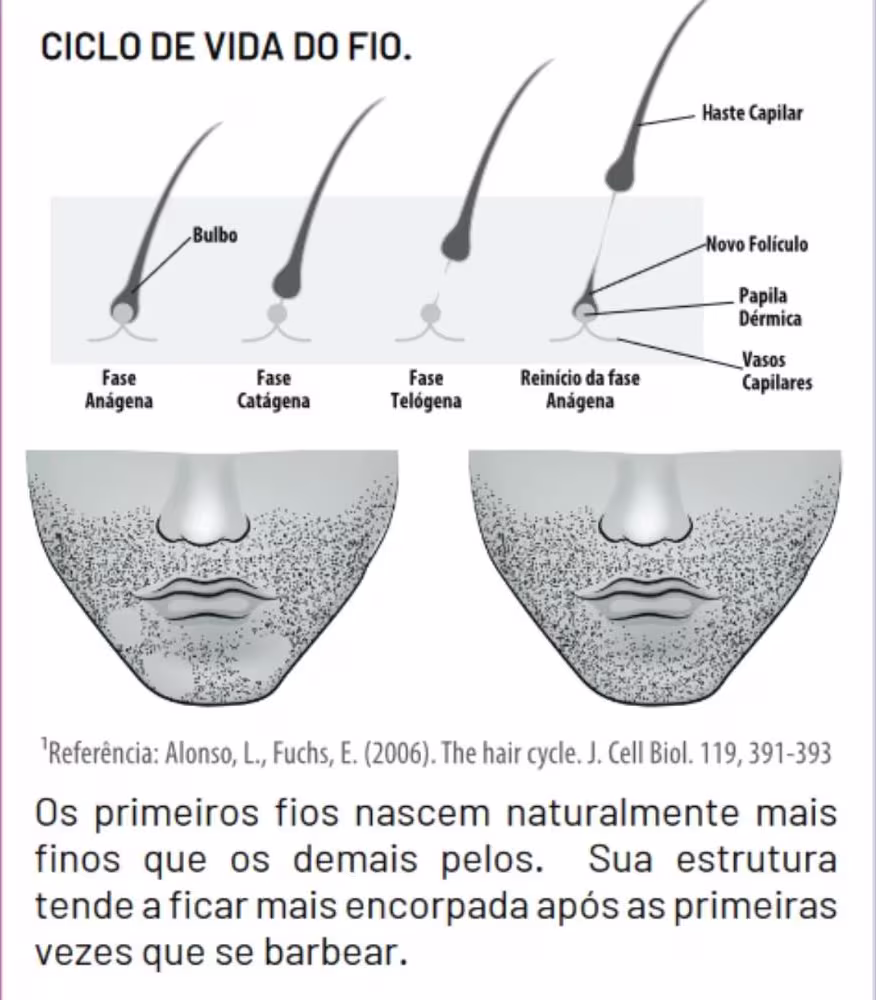 Os primeiros fios nascem naturalmente mais finos que os demais pelos. Sua estrutura tende a ficar mais encorpada após as primeiras vezes que se barbear.