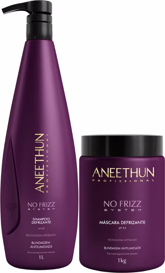 Kit Aneethun No Frizz System Duo Mask com shampoo e máscara capilar.