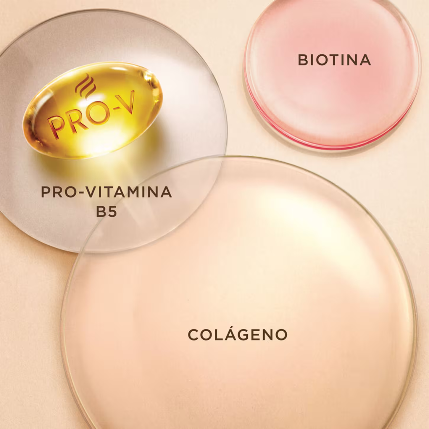 Shampoo Pantene Pro-V Miracles Colágeno, 510ml.