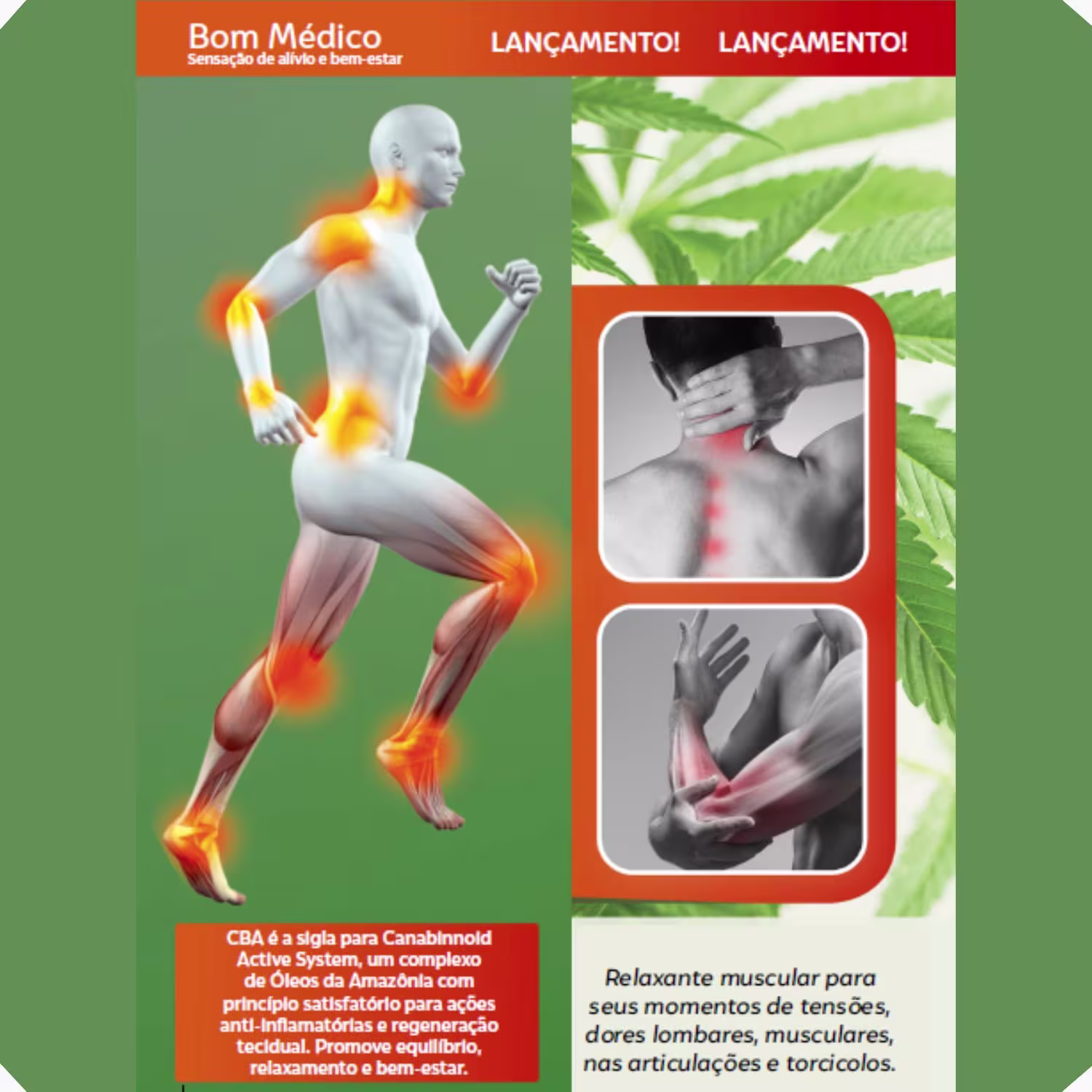 Spray Aerossol Abelha Rainha Bom Médico CBA Cannabinoid Active System, 150ml.