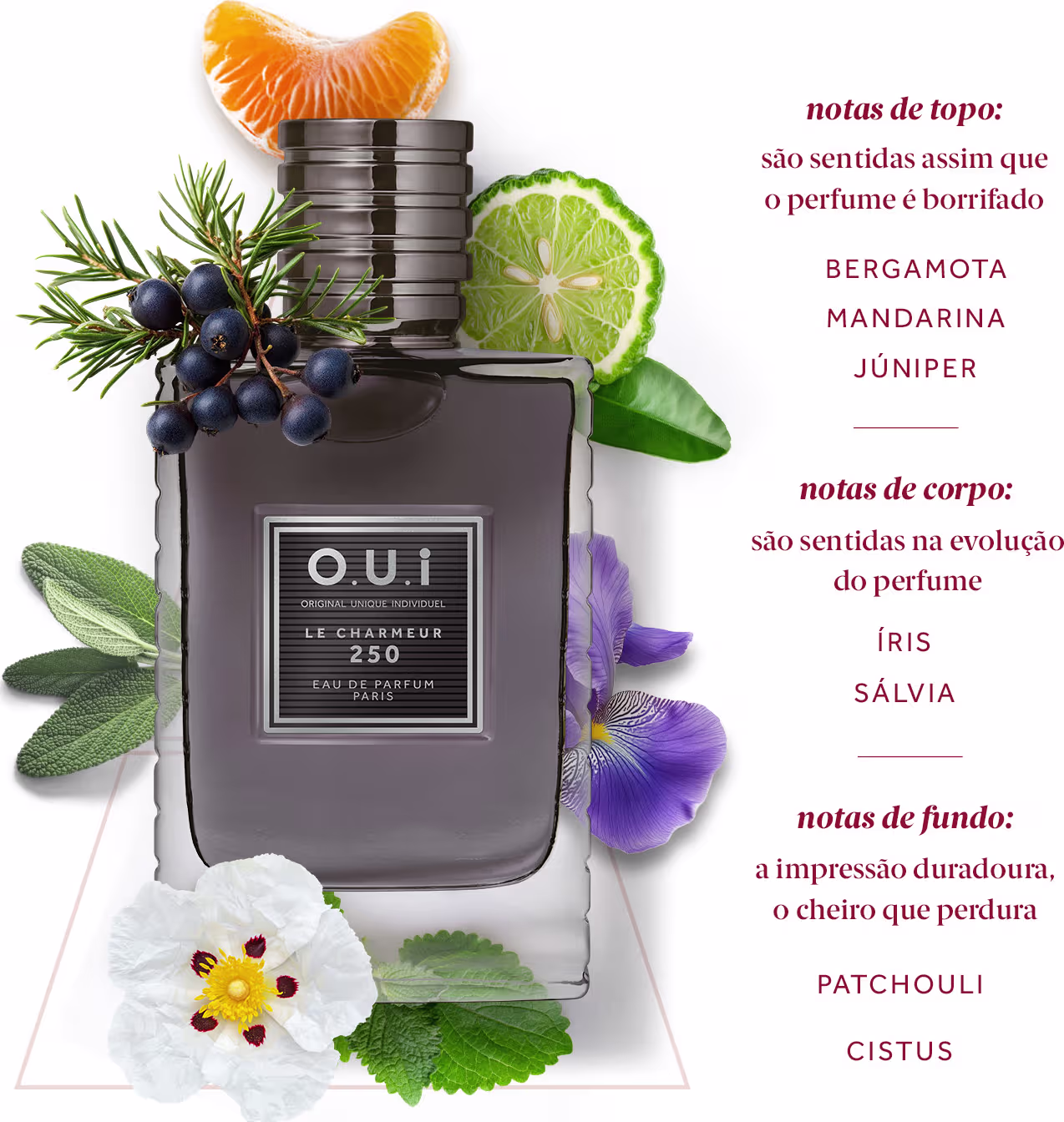 notas de topo: são sentidas assim que o perfume é borrifado
BERGAMOTA
MANDARINA
JÚNIPER

notas de corpo: são sentidas na evolução do perfume
ÍRIS
SÁLVIA

notas de fundo: a impressão duradoura, o cheiro que perdura
PATCHOULI
CISTUS