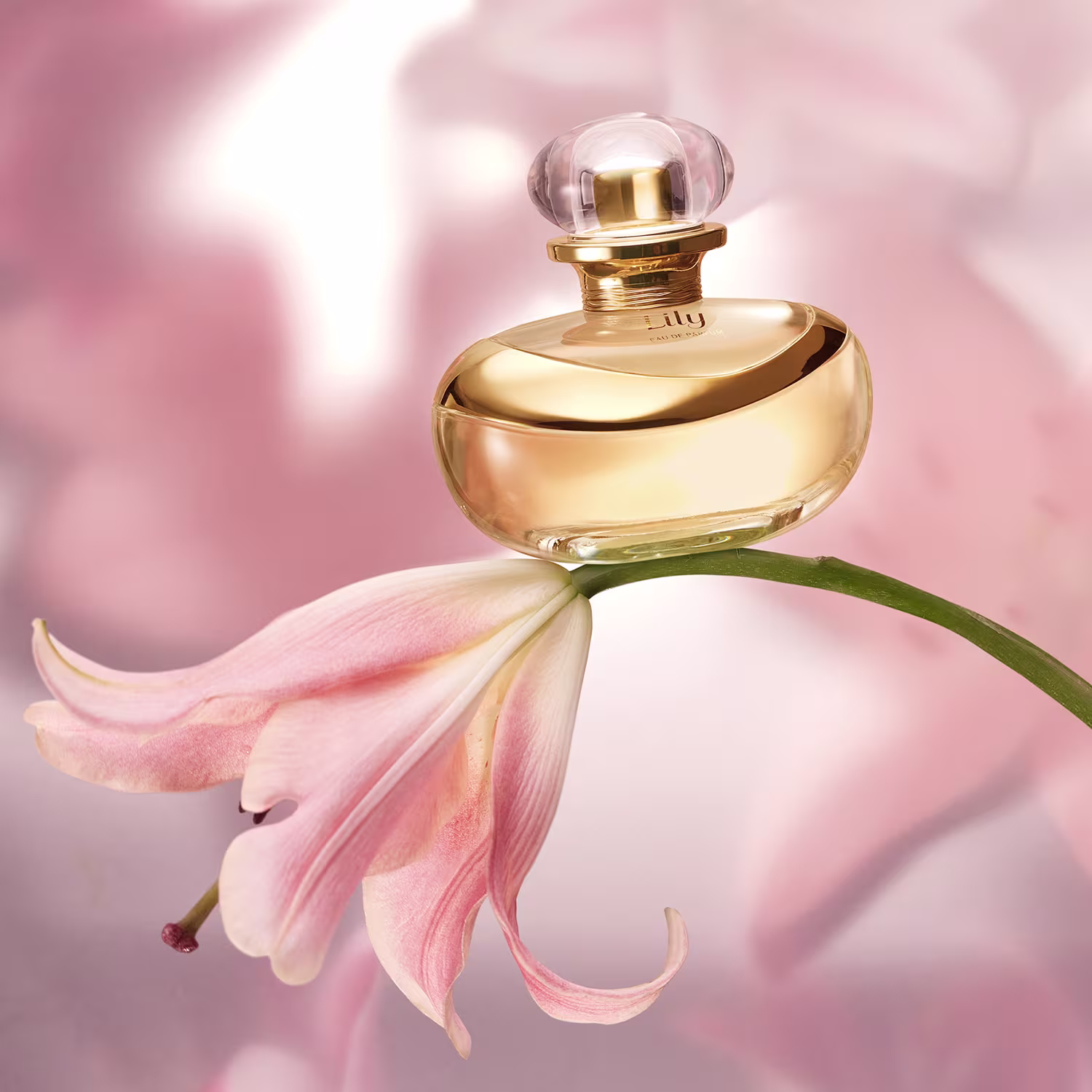 A imagem mostra um frasco de perfume luxuoso da marca Lily. O perfume repousa delicadamente sobre uma flor de pétalas largas e cor rosa pálida, aparentemente uma flor de lírio. O fundo tem uma suave tonalidade rosada.