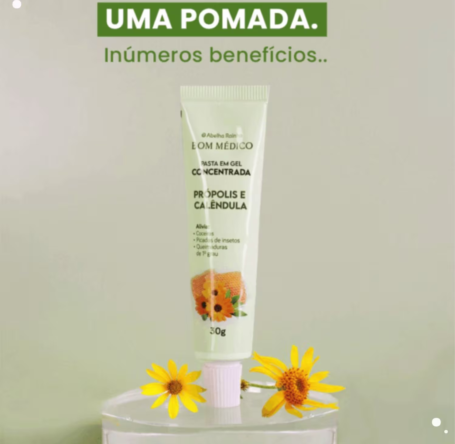 Pasta em Gel Concentrada Abelha Rainha Bom Médico Própolis e Calêndula, 30g.