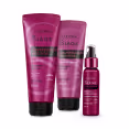 Imagem do produto Combo Siàge Cauterização:  Shampoo 250ml + Condicionador 200ml + Sérum 60ml