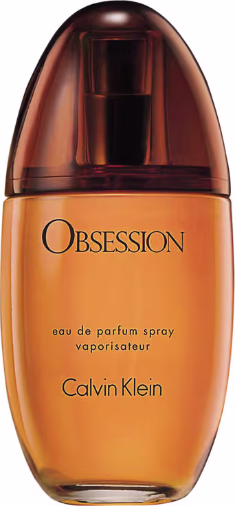 Perfume Feminino Obsession Calvin Klein Eau de Parfum 100ml