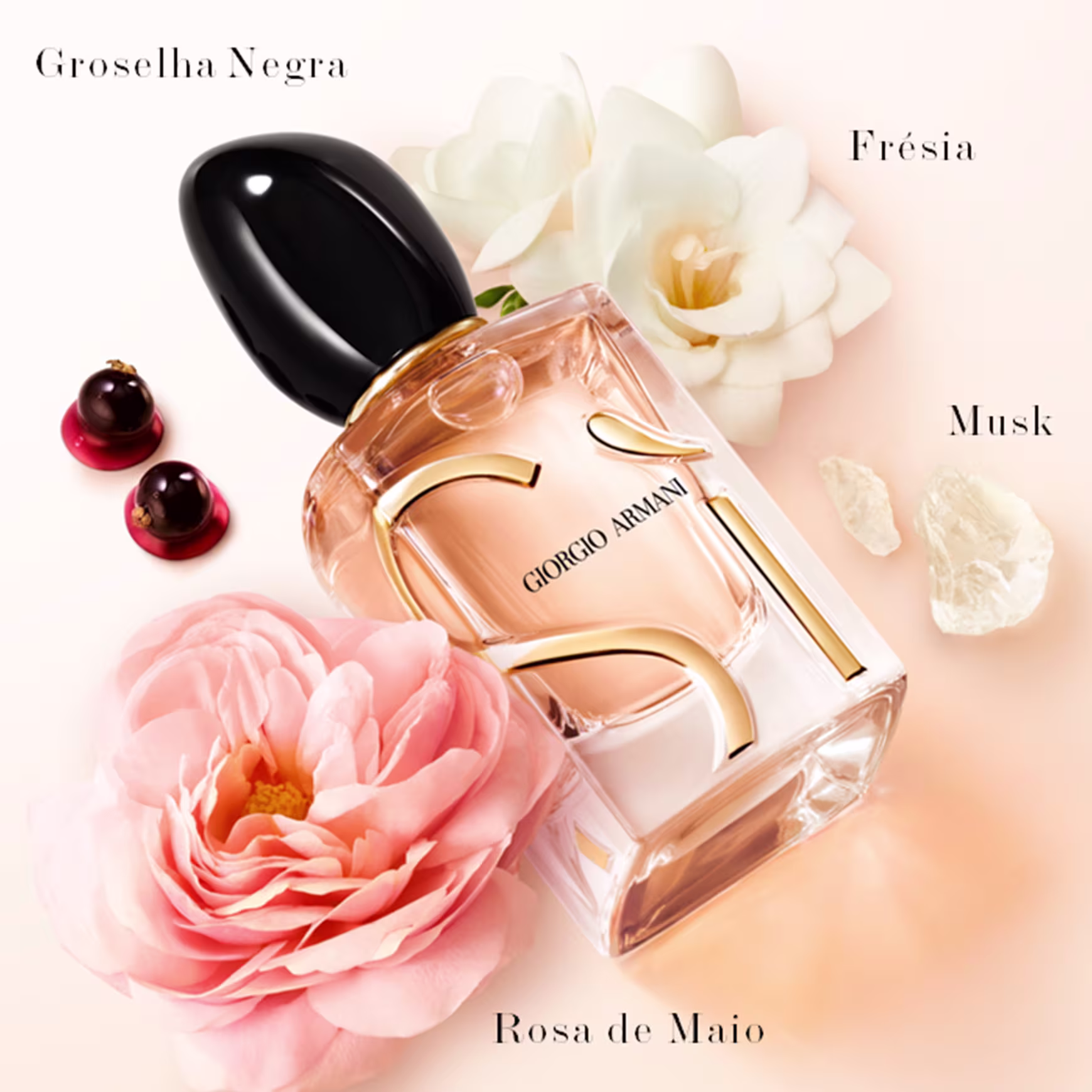 Destaca o frasco do perfume Sì Giorgio Armani. Ao redor, estão dispostos elementos que representam as notas e aromas que compõem a fragrância, como flores e especiarias.
