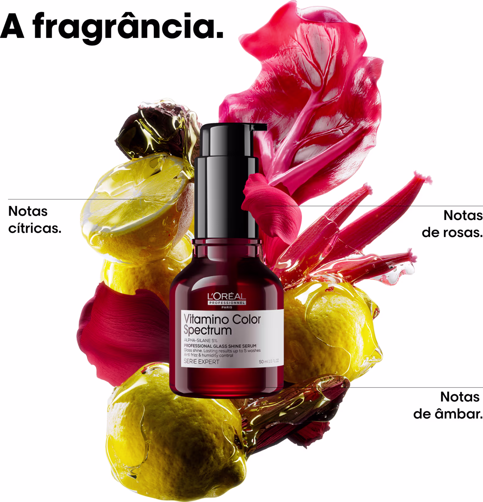 A fragrância: notas cítricas, notas de rosas e notas de âmbar