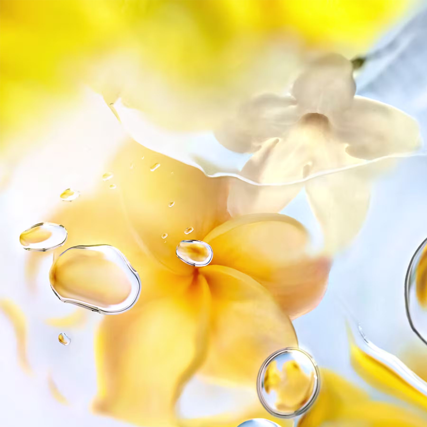 Perfume Importado Feminino Ô Zenith Lancôme EDT, 100ml.