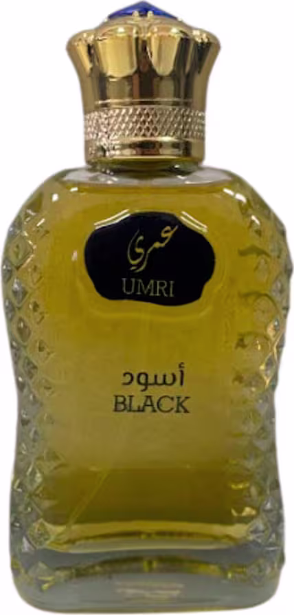 Perfume Importado Masculino Umri Black Manasik EDP, 100ml.