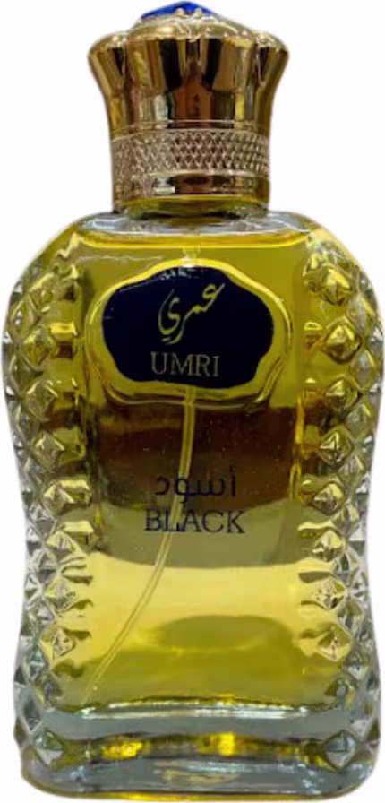 Perfume Importado Masculino Umri Black Manasik EDP, 100ml.