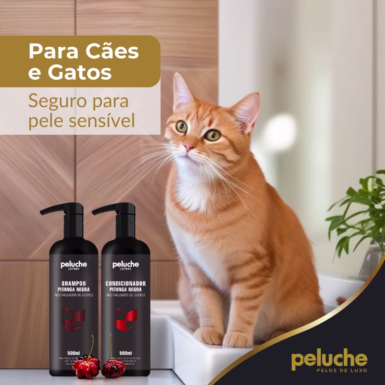 Kit Peluche Pitanga Negra Trio, 3 produtos.