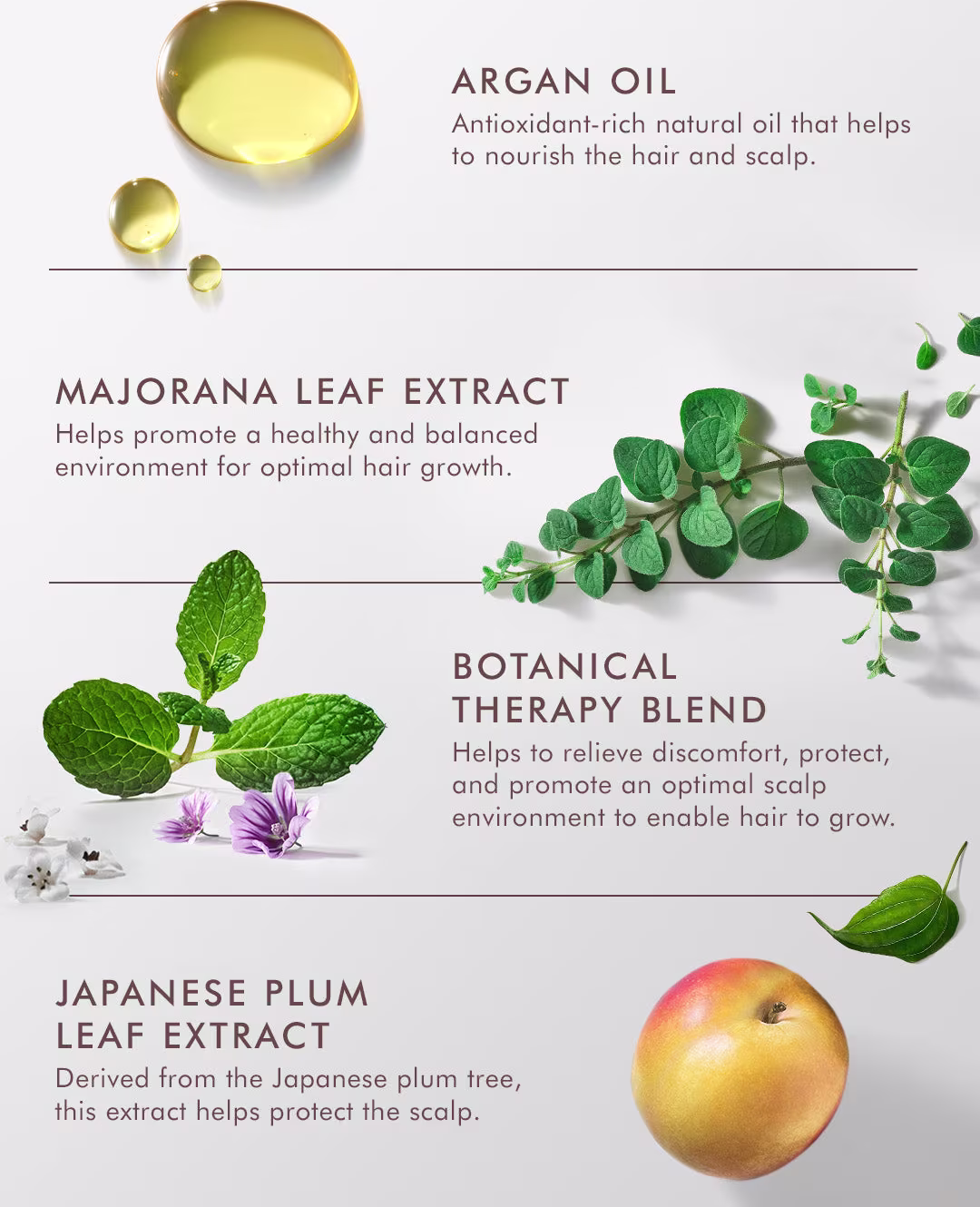 Argan Oil: Antioxidant-rich natural oil that helps to nourish the hair and scalp. Majorana Leaf Extract: Helps promote a healthy and balanced environment for optimal hair growth. Botanical Therapy Blend and Japanese Plum Leaf Extract
