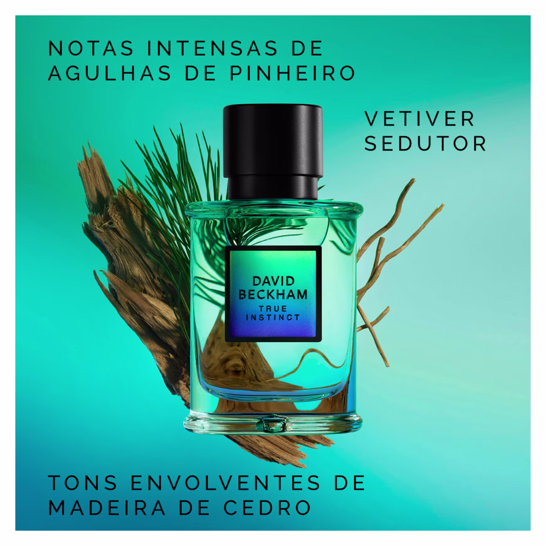 Galhos de pinheiro e madeira de cedro ao redor do perfume. Texto destaca notas intensas de agulhas de pinheiro, "Vetiver Sedutor" e tons envolventes de madeira de cedro. Cores predominantes são verde, preto e tons de madeira.