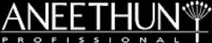 A imagem mostra o logotipo da marca Aneethun sobre um fundo preto.