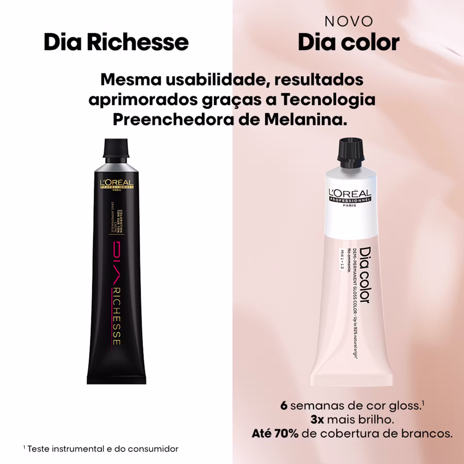 À esquerda, um tubo preto com o nome "Dia Richesse" e a descrição "Mesma usabilidade, resultados aprimorados graças a Tecnologia Preenchedora de Melanina".
À direita, um tubo branco com o nome "Novo Dia color" e "6 semanas de cor gloss"