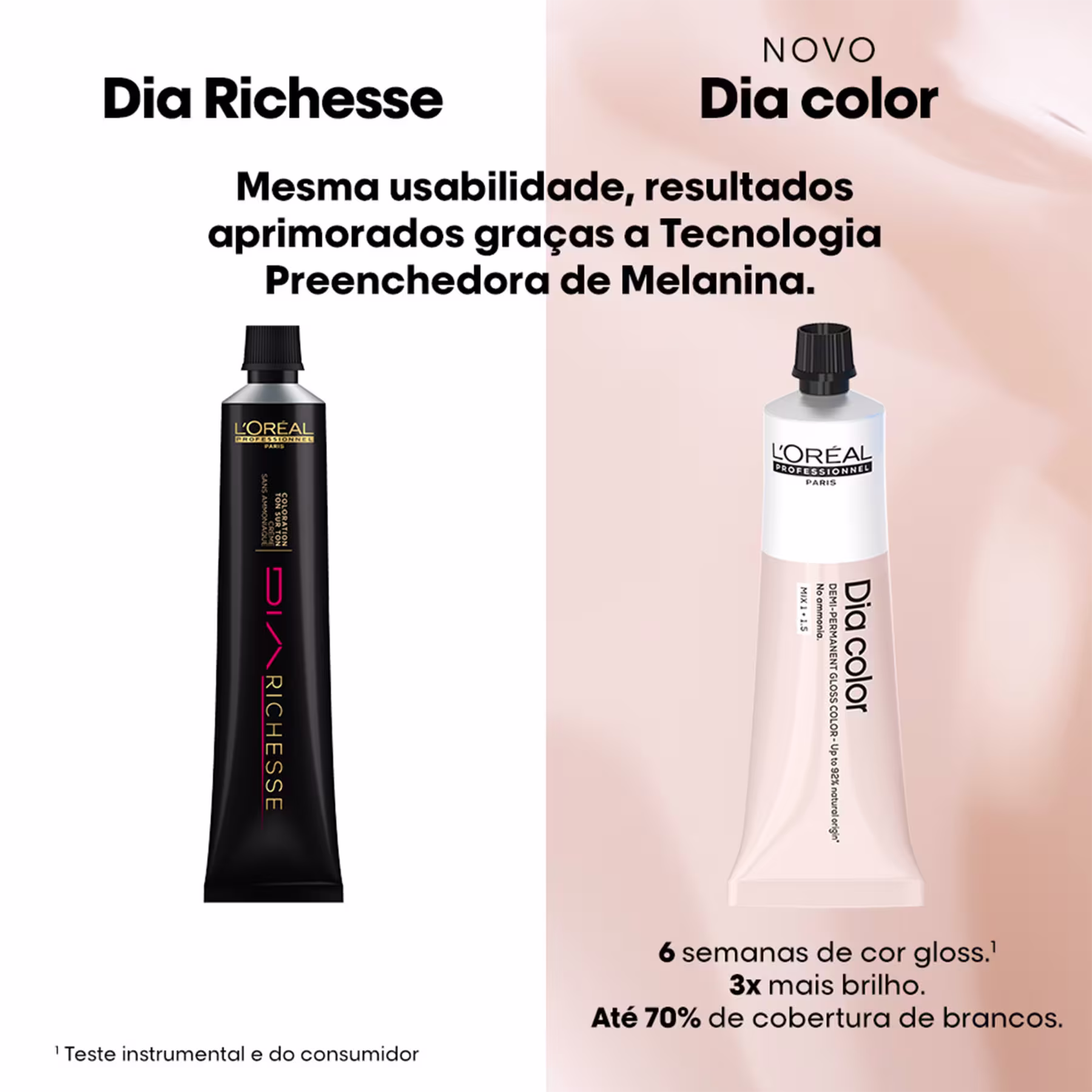 À esquerda, um tubo preto com o nome "Dia Richesse" e a descrição "Mesma usabilidade, resultados aprimorados graças a Tecnologia Preenchedora de Melanina".
À direita, um tubo branco com o nome "Novo Dia color" e "6 semanas de cor gloss"