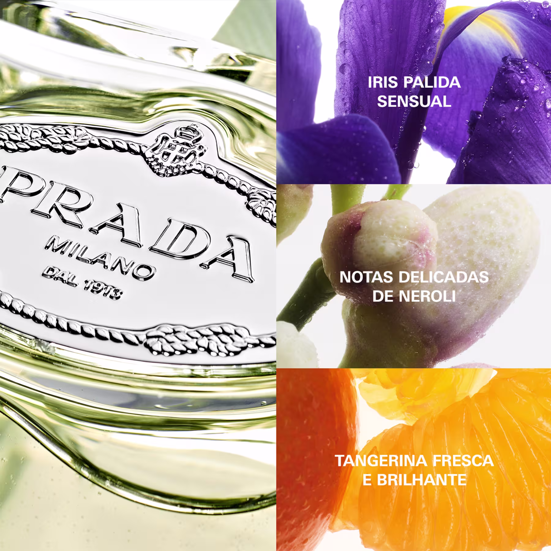 À esquerda, frasco de perfume de vidro transparente com ornamentos e o logo Prada. Ao centro, íris roxa com gotas de orvalho, simbolizando "Iris Palida Sensual". À direita, flor de neroli rosa pálida e fatia de tangerina vibrante.