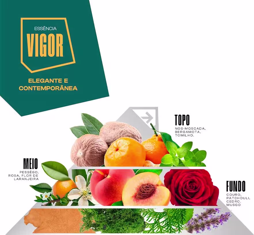 A imagem mostra uma pirâmide olfativa dividida em topo, meio e fundo, com ilustrações de ingredientes naturais que compõem as diferentes notas aromáticas.