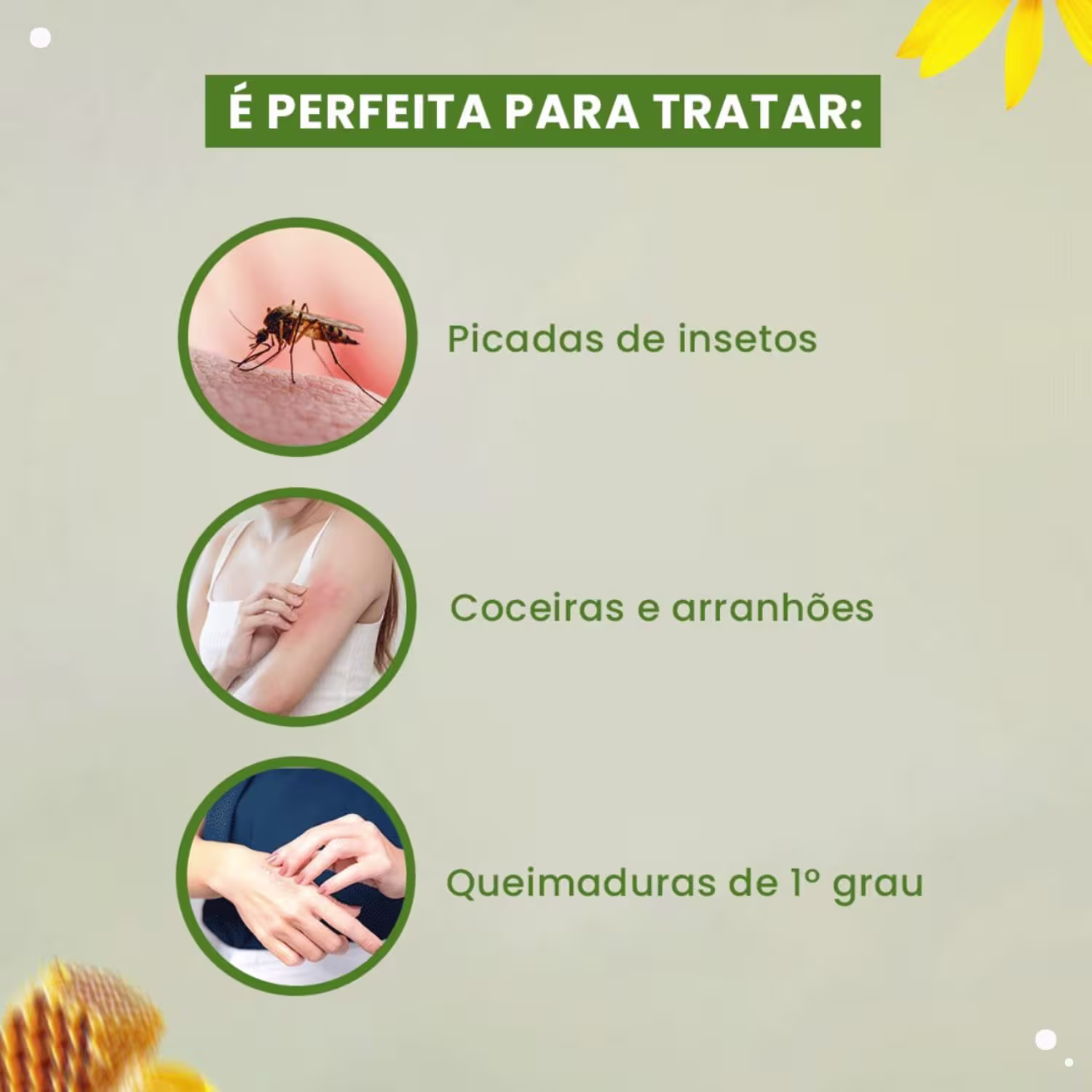 Pasta em Gel Concentrada Abelha Rainha Bom Médico Própolis e Calêndula, 30g.