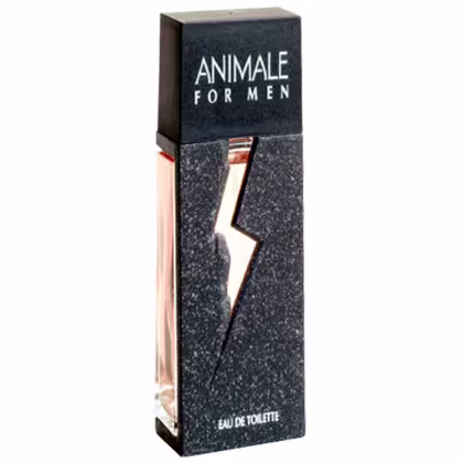 A imagem mostra o Perfume Importado Masculino For Men de Animale.