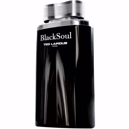 Imagem do produto Black Soul Ted Lapidus Eau de Toilette - Perfume Masculino 50ml