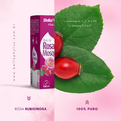 Imagem do produto Kit 4 Rosa Mosqueta Rubiginosa Óleo Puro 30ml - BellaPhytus