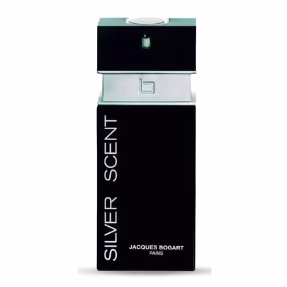 Imagem do produto Silver Scent Masculino Eau de Toilette 50 ml