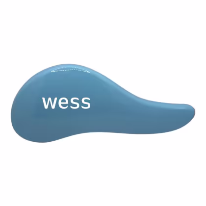 Imagem do produto Wess Escova Anti Frizz e Anti Quebra Cor:Azul Clara