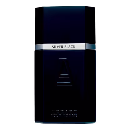 Imagem do produto Silver Black Pour Homme Azzaro Eau de Toilette - Perfume Masculino 100ml