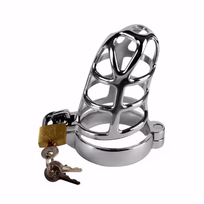 Imagem do produto Cinto de Castidade em Aço acompanha Cadeado 7,5cm x 4,3cm BDSM
