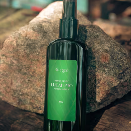 Imagem do produto Hidrolato de Eucalipto (Eucalyptus citriodora) ORGÂNICO NÃO CERTIFICADO - 200mL
