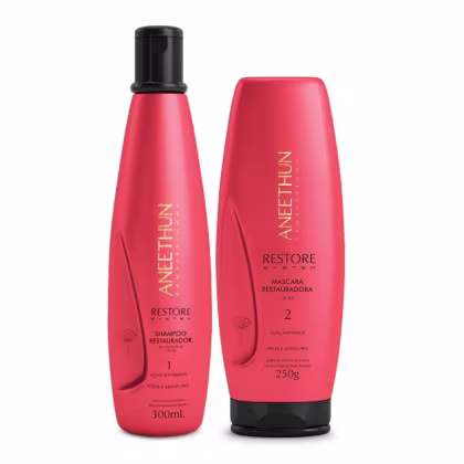 Imagem do produto Kit Aneethun Restore System - Shampoo 300ml + Máscara 250g