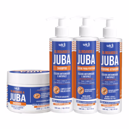 Imagem do produto Kit Widi Care Blindando A Juba - Shampoo + Máscara + Creme de Pentear + Pudding